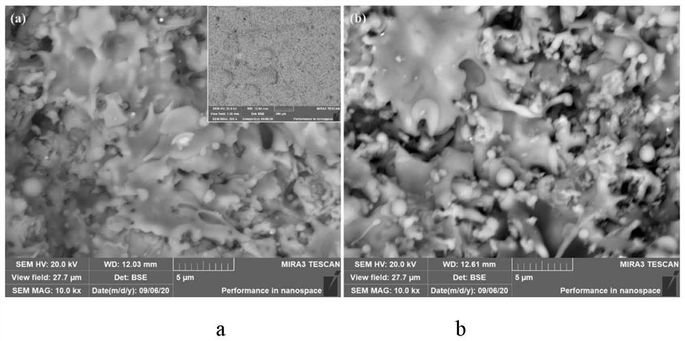 Method for preparing structure and function integrated coating by using modified silicon-based polymer