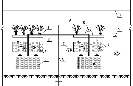 In-situ ecological restoration method suitable for sewage in sewage discharge outlets of tidal inland river system and system and application