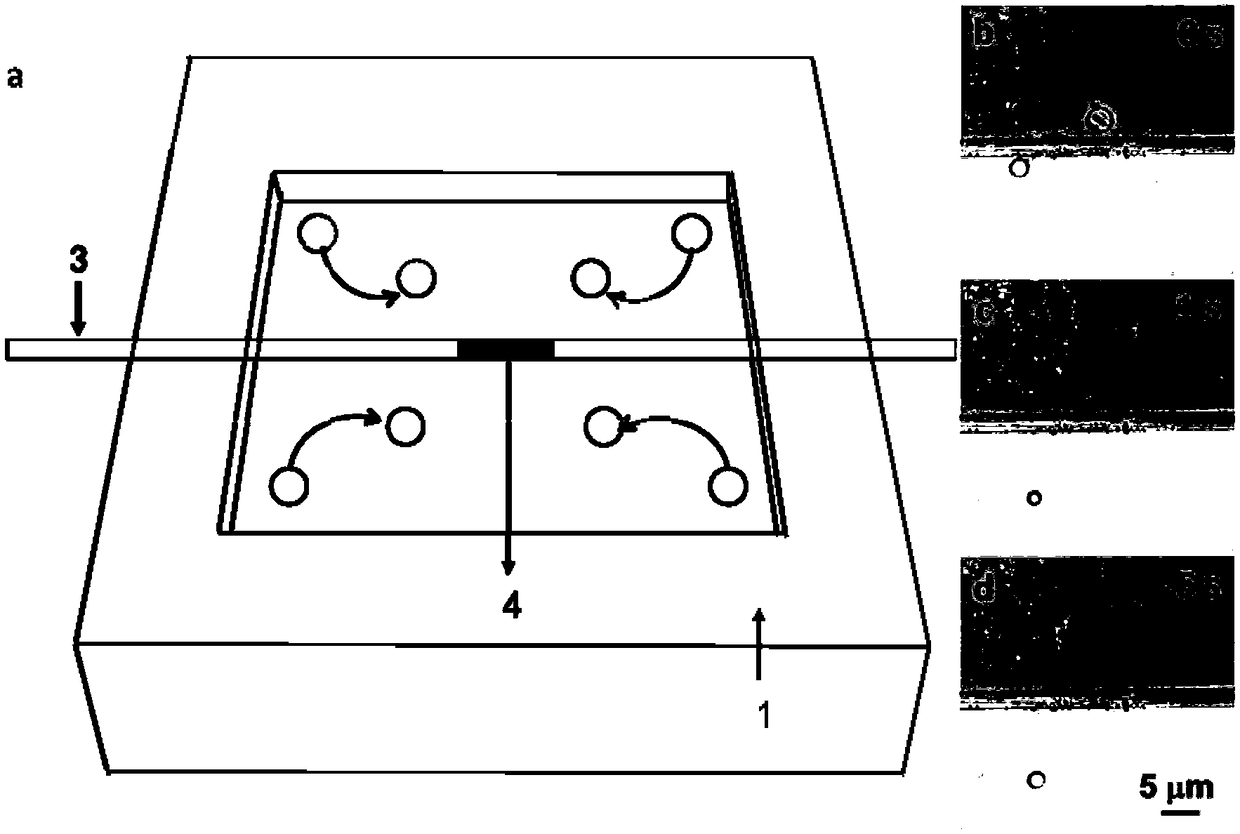 Material distributed control platform and control method based on optical flow vortex array