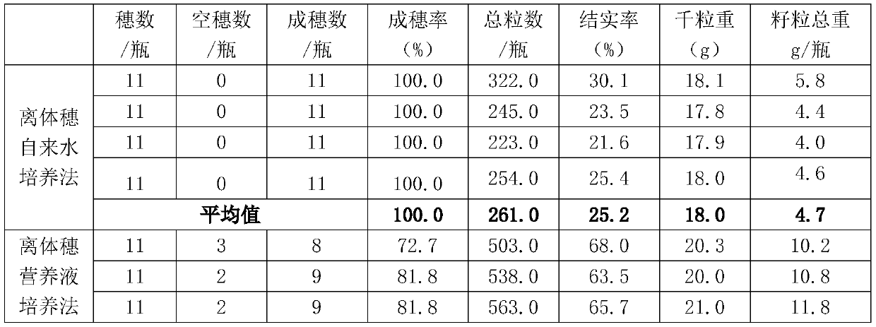 A kind of plant growth regulator and culture method thereof for detached panicle of rice