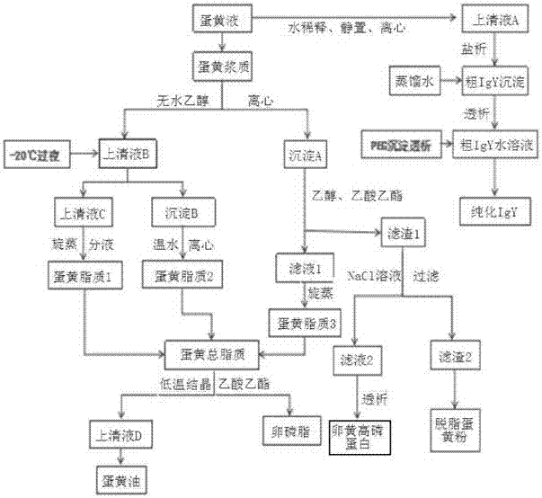 Method for jointly extracting IgY, phosvitin, lecithin, egg oil and skim yolk powder from egg yolk