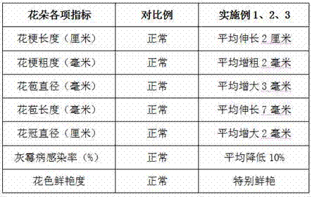 Medicament capable of improving quality of Chinese rose fresh-cut flowers as well as preparation and use methods thereof