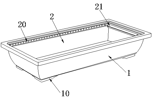 Dragon fruit seedling culture device