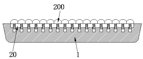 Dragon fruit seedling culture device