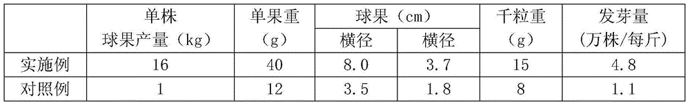 Improvement method for seed yield of mother tree in Pinus massoniana seed orchard