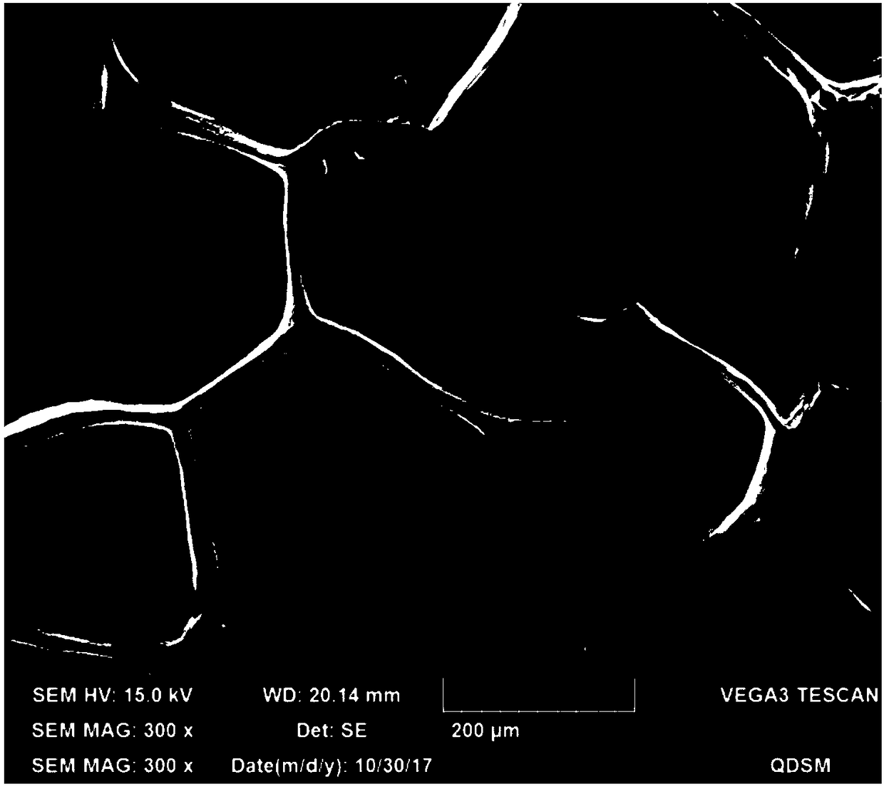 Fishskin source acellular dermal matrix and preparation method thereof