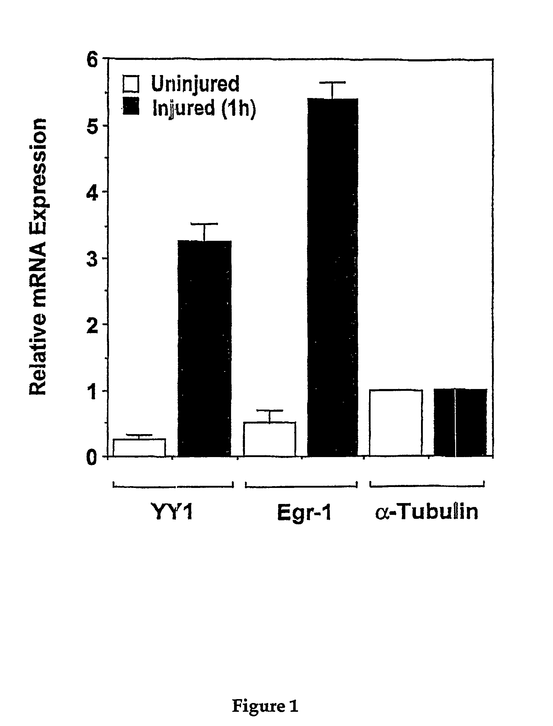 Inhibiting cellular proliferation by expressing yin yang-1