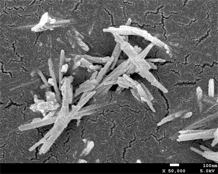 A kind of mullite nano-whisker prepared from pyrite tailings as raw material and preparation method thereof