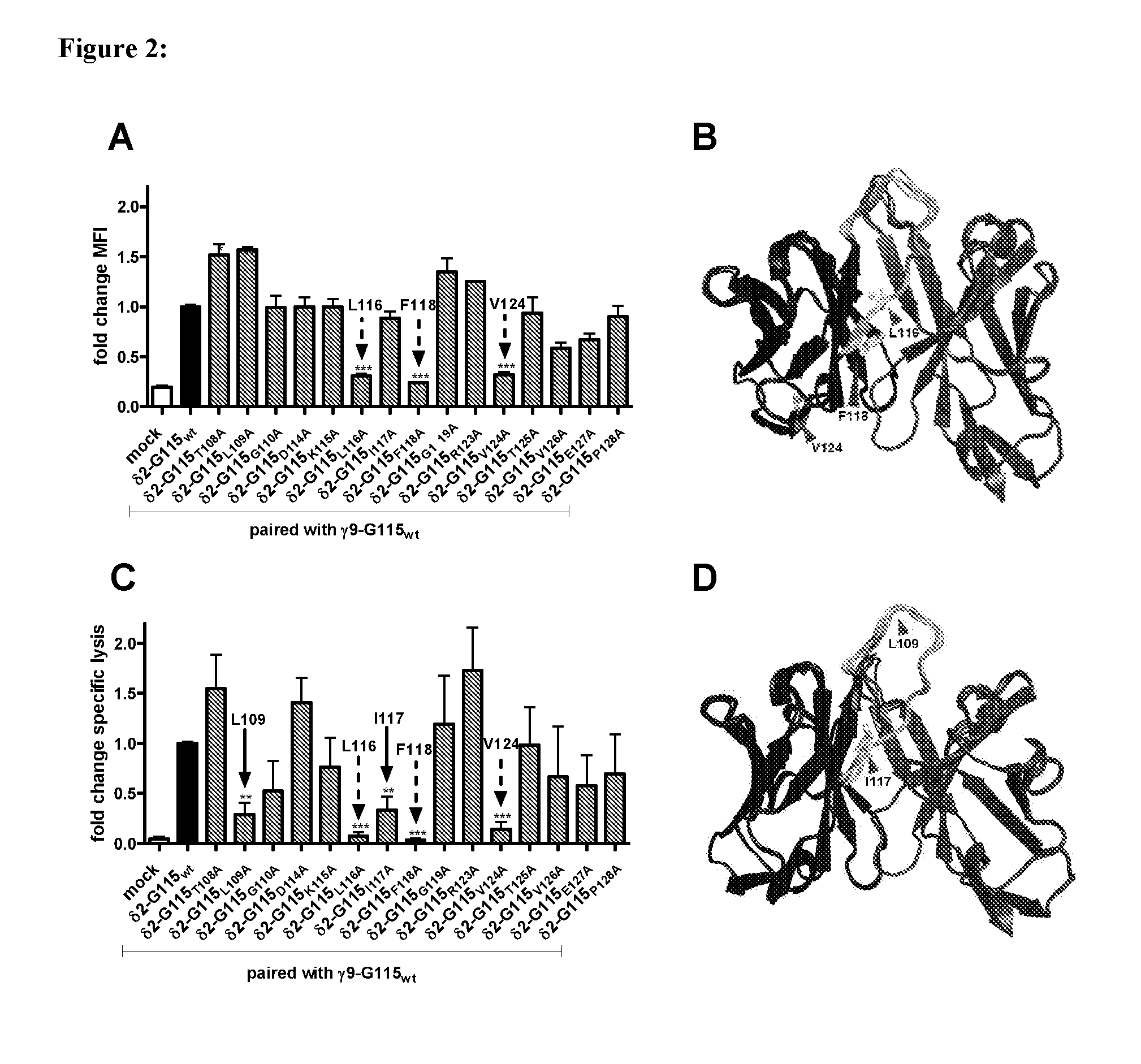 Combinatorial gamma 9 delta 2 t cell receptor chain exchange