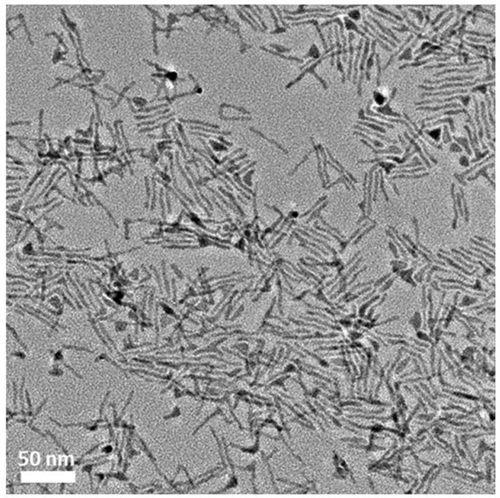 A lead telluride nanorod with uniform size, preparation method and application thereof