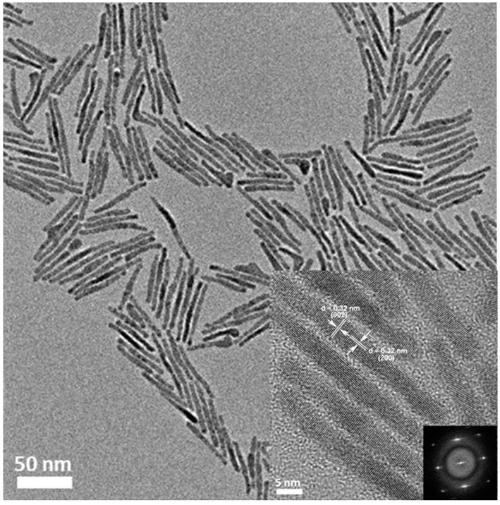 A lead telluride nanorod with uniform size, preparation method and application thereof