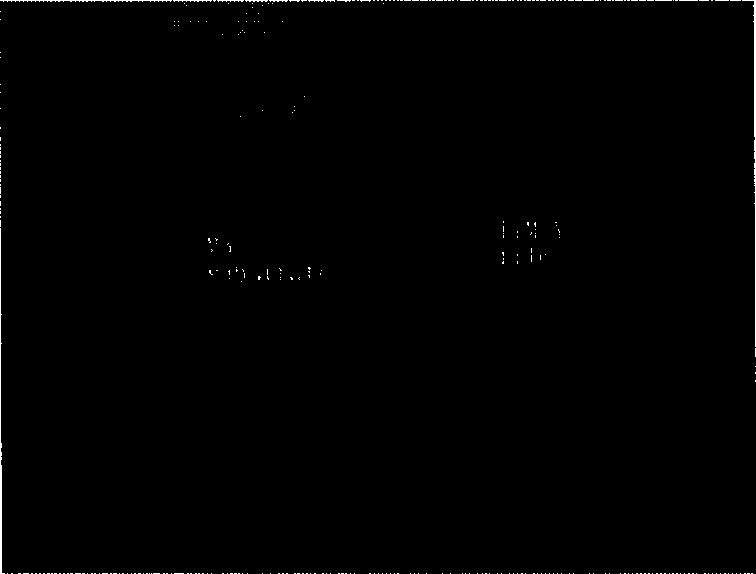 Gas-phase deposition coating and vacuum heat-treatment on-line combined composite coating equipment