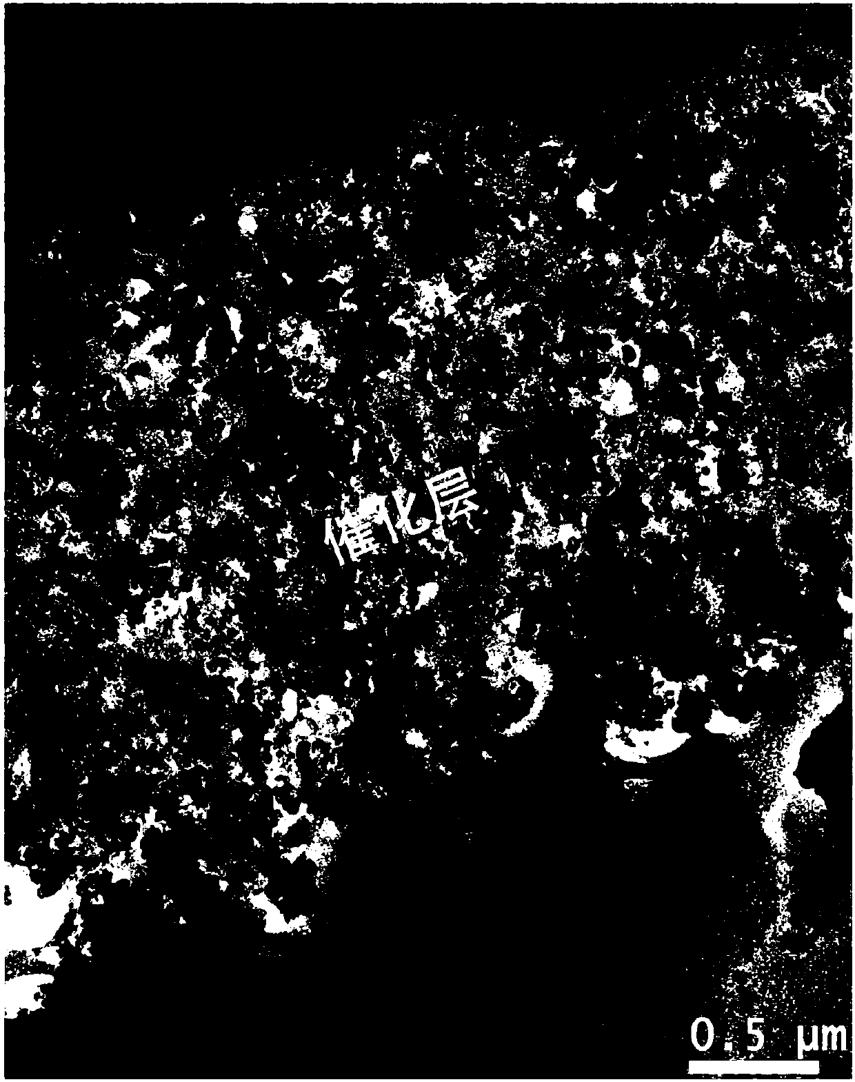 Membrane electrode of fuel cell and preparation method and application of membrane electrode