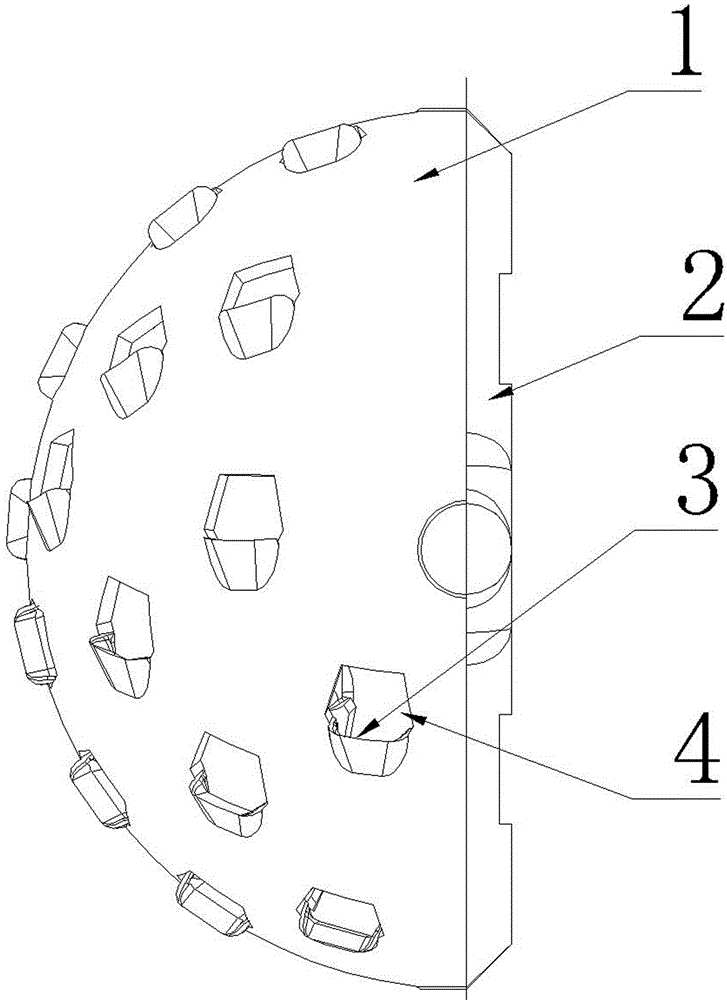 Acetabular bone file