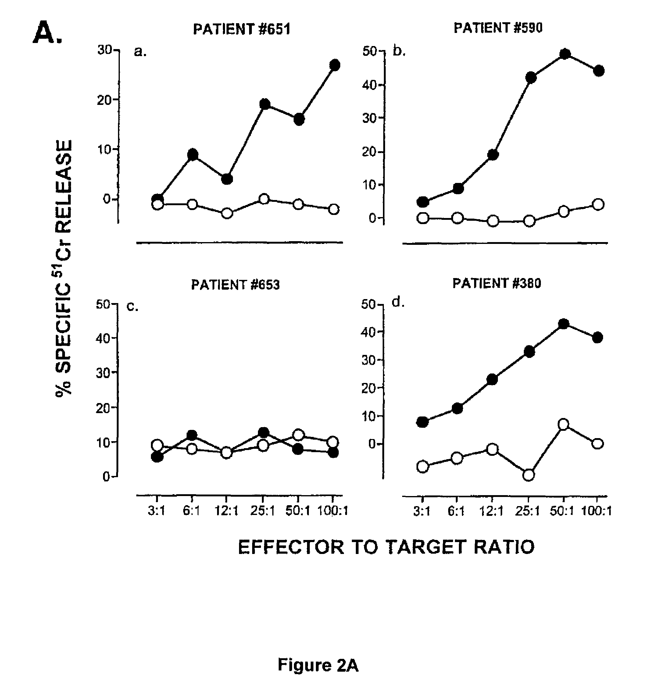 Composition and method for inducing and enhancing a telomerase reverse transcriptase-reactive cytotoxic T lymphocyte response