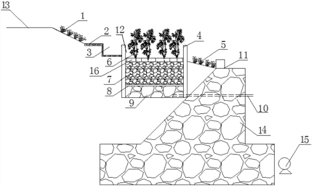 Streamside ecological percolation and pollution intercepting pool equipped with oxygen releasing material