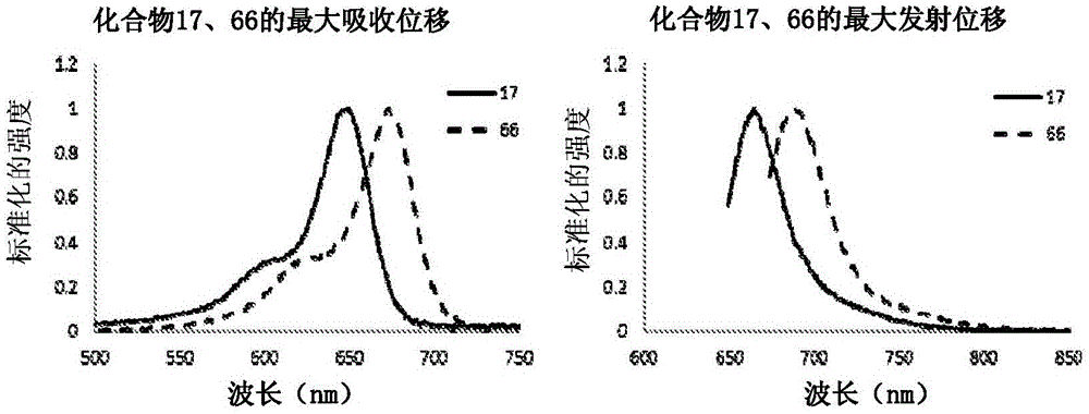 Substituted silaxanthenium red to near-infrared fluorochromes for in vitro and in vivo imaging and detection