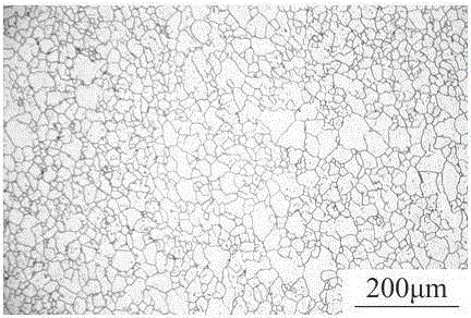 A Metallographic Corrosion Method for Revealing Grain Boundary of Austenitic Stainless Steel