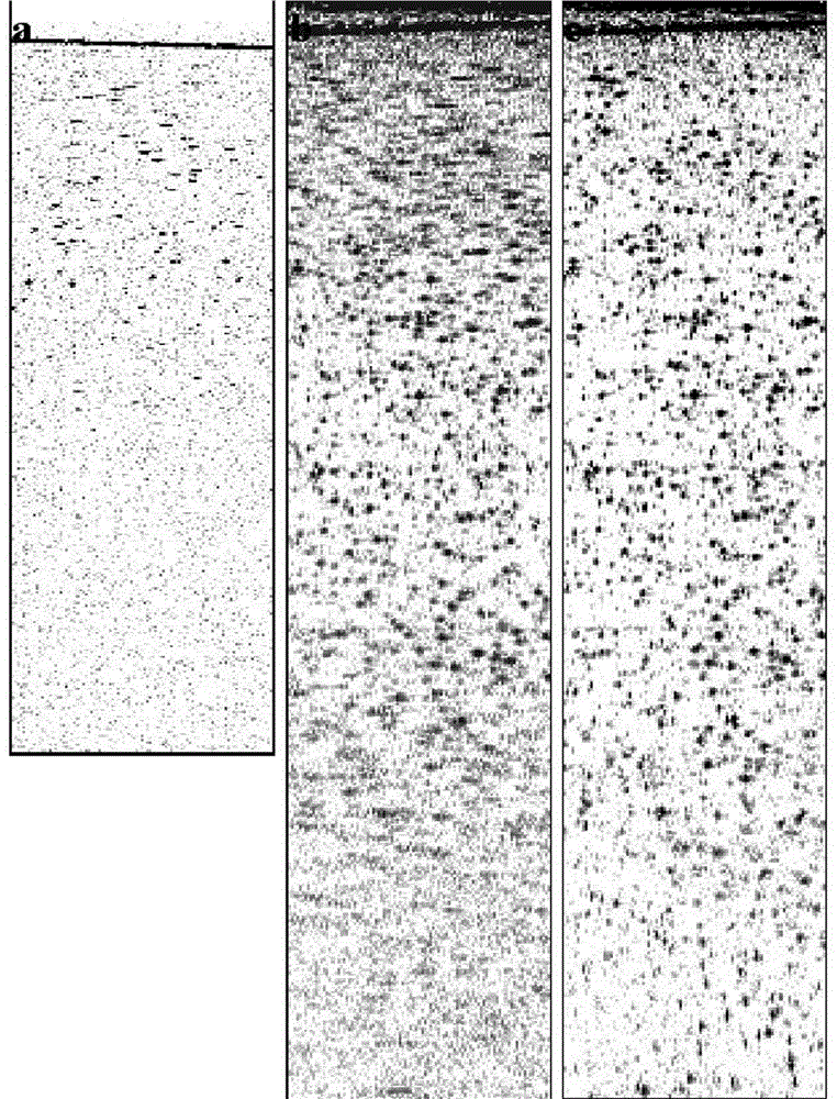 3D Imaging Method for Scattering Samples