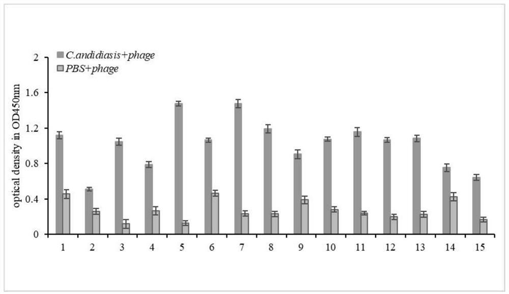 Polypeptide for inhibiting proliferation of candida albicans and application of polypeptide in mouthwash