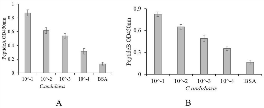 Polypeptide for inhibiting proliferation of candida albicans and application of polypeptide in mouthwash