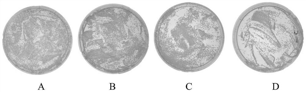 Polypeptide for inhibiting proliferation of candida albicans and application of polypeptide in mouthwash