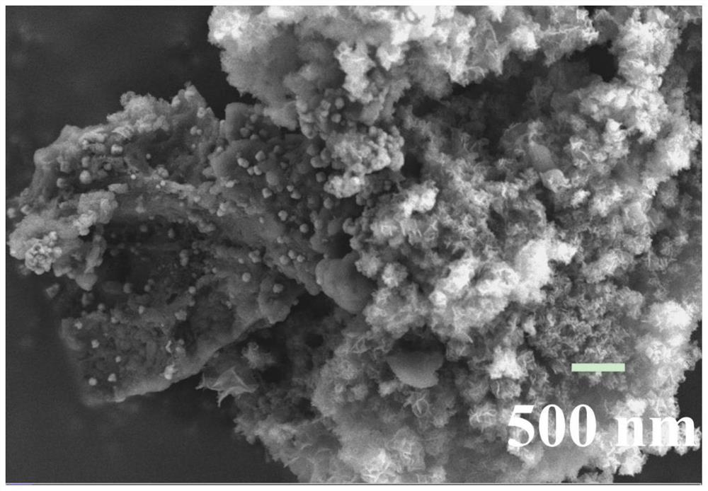 Heavy metal complex wastewater treatment and recycling process based on iron-based biochar