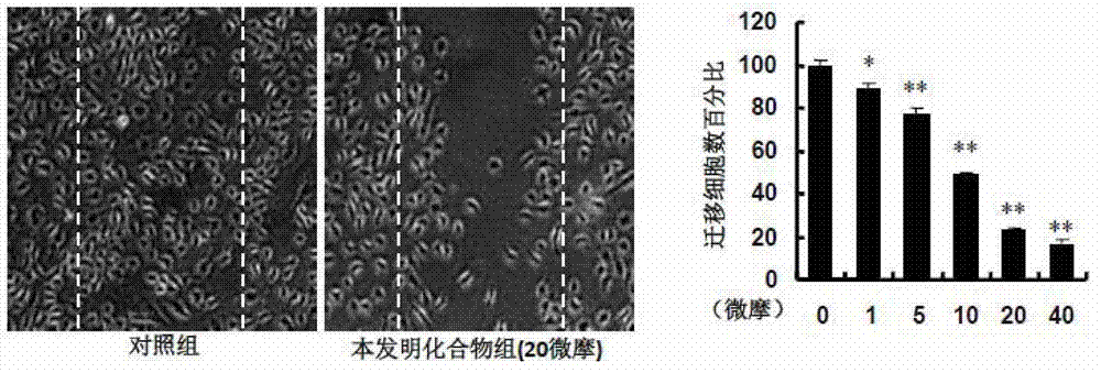 2,3-diaryl thiazolidinone compound and analogue, and purpose thereof in preparing antiangiogenic drugs