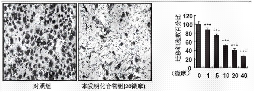 2,3-diaryl thiazolidinone compound and analogue, and purpose thereof in preparing antiangiogenic drugs