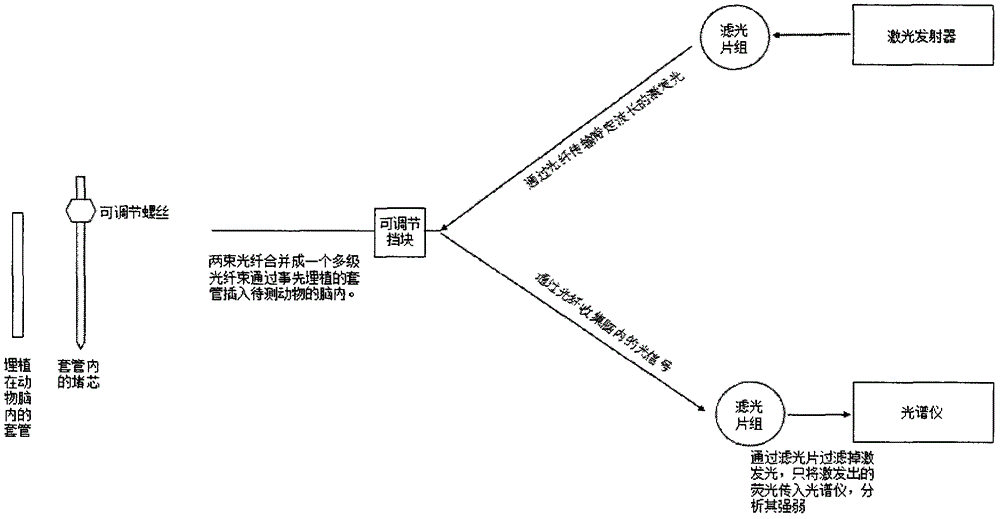 Device and method for recording living body fluorescence signals