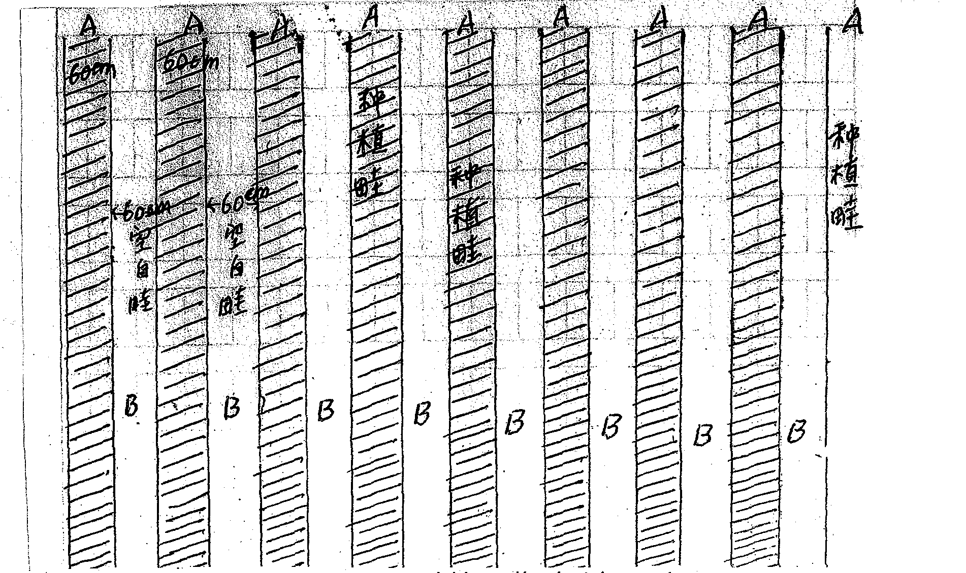 Natural control method for continuous cropping diseases and root knot nematodes of greenhouse fruit and vegetables