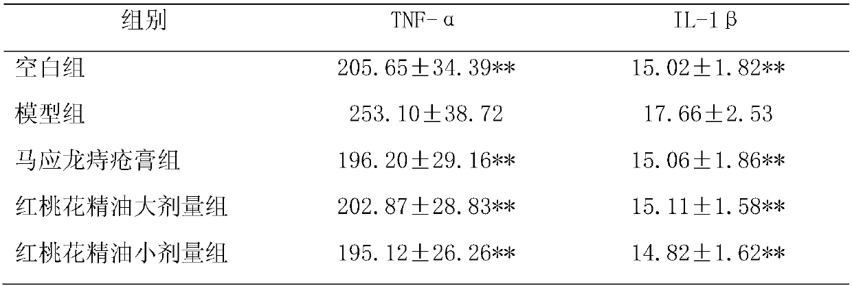 Traditional Chinese medicine formula essential oil for external use for treating haemorrhoids