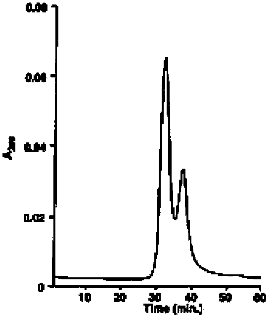 Method for separating and purifying inclusion body-type HIV-1 (human immunodeficiency virus-1) protease from prokaryotic system