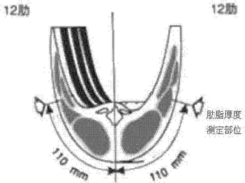 Nondestructive grading method for lamb carcass output