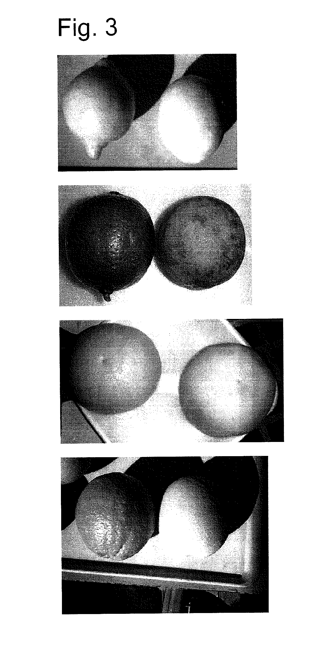 Processed citrus fruit item having reduced bitterness