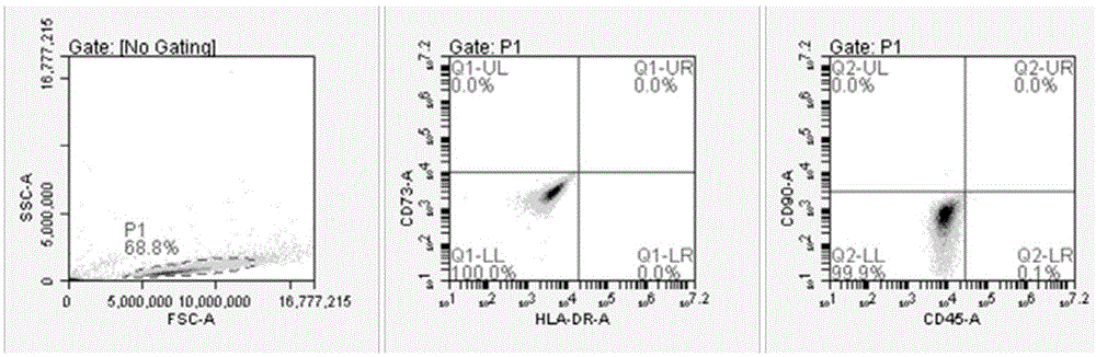 Stem cell freezing medium and stem cell freezing method