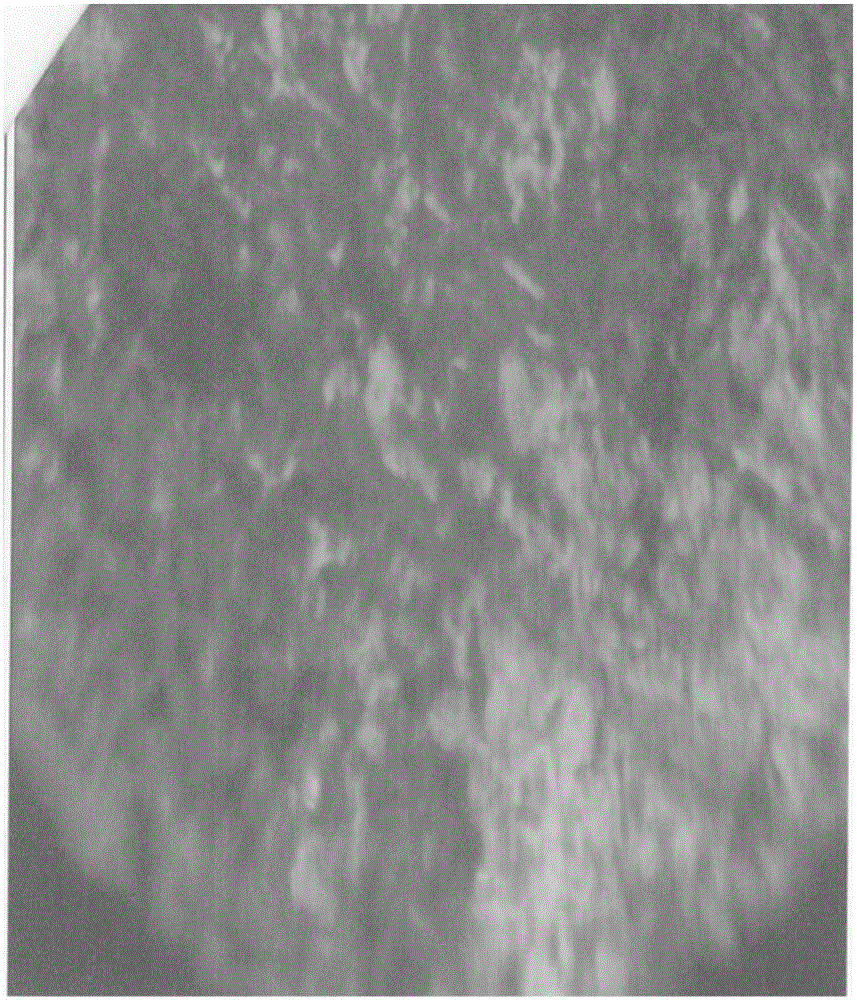 High-wear-resistance carbide-containing austenitic ductile iron and preparation method thereof