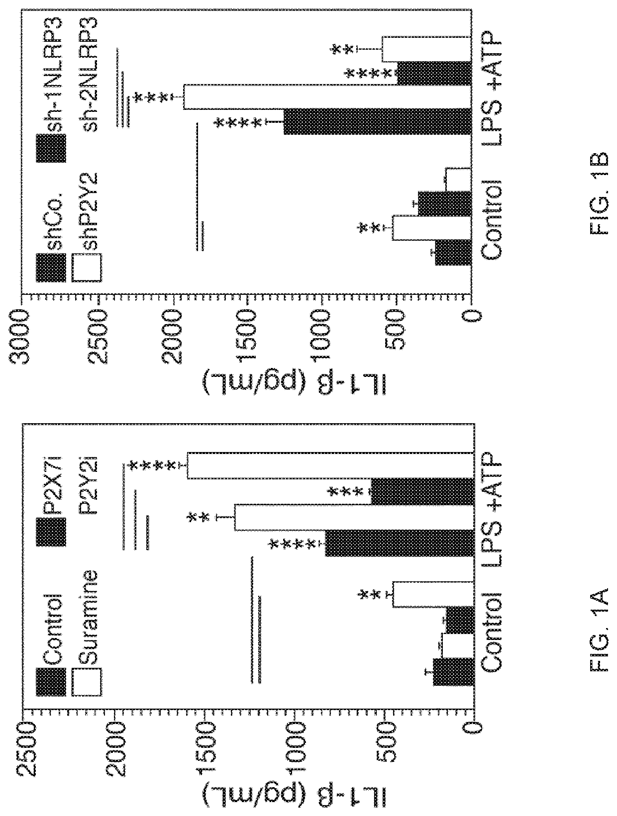 Methods and Pharmaceutical Composition for Modulation Polarization and Activation of Macrophages