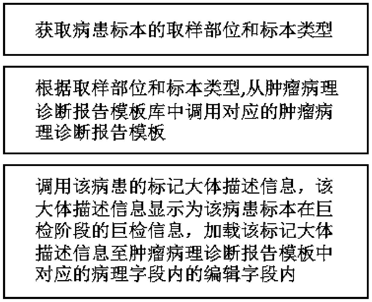 Standard edited tumor pathological diagnosis report template generation system and method