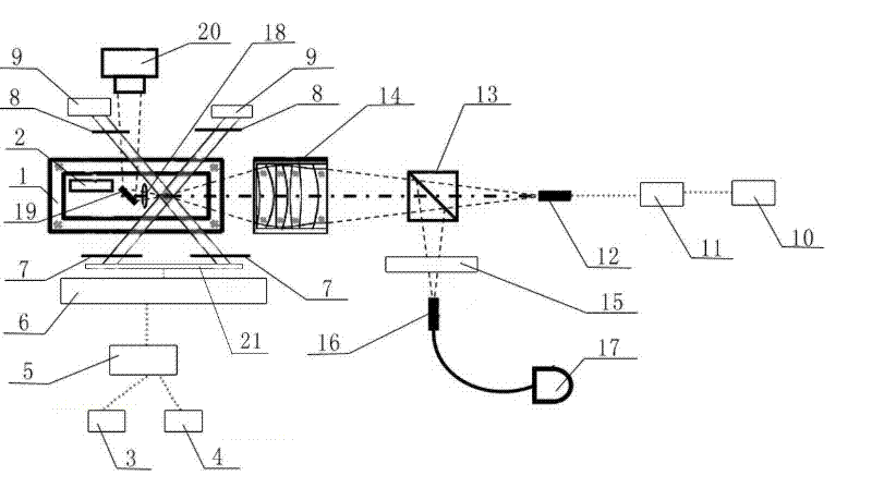 Detection method capable of realizing direct acquirement of image of single atom