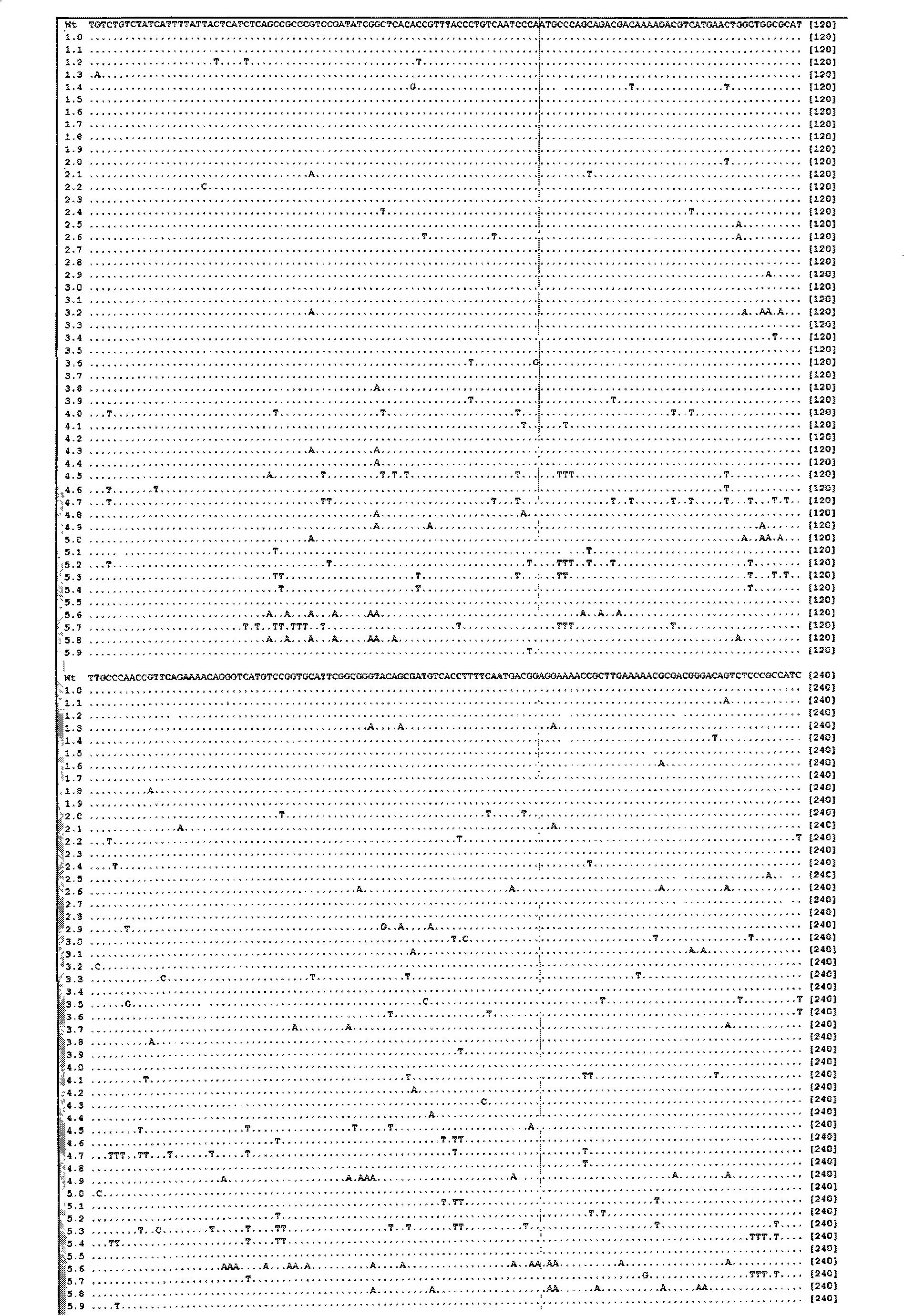 Frequency controllable GC specificity DNA mutagenesis method