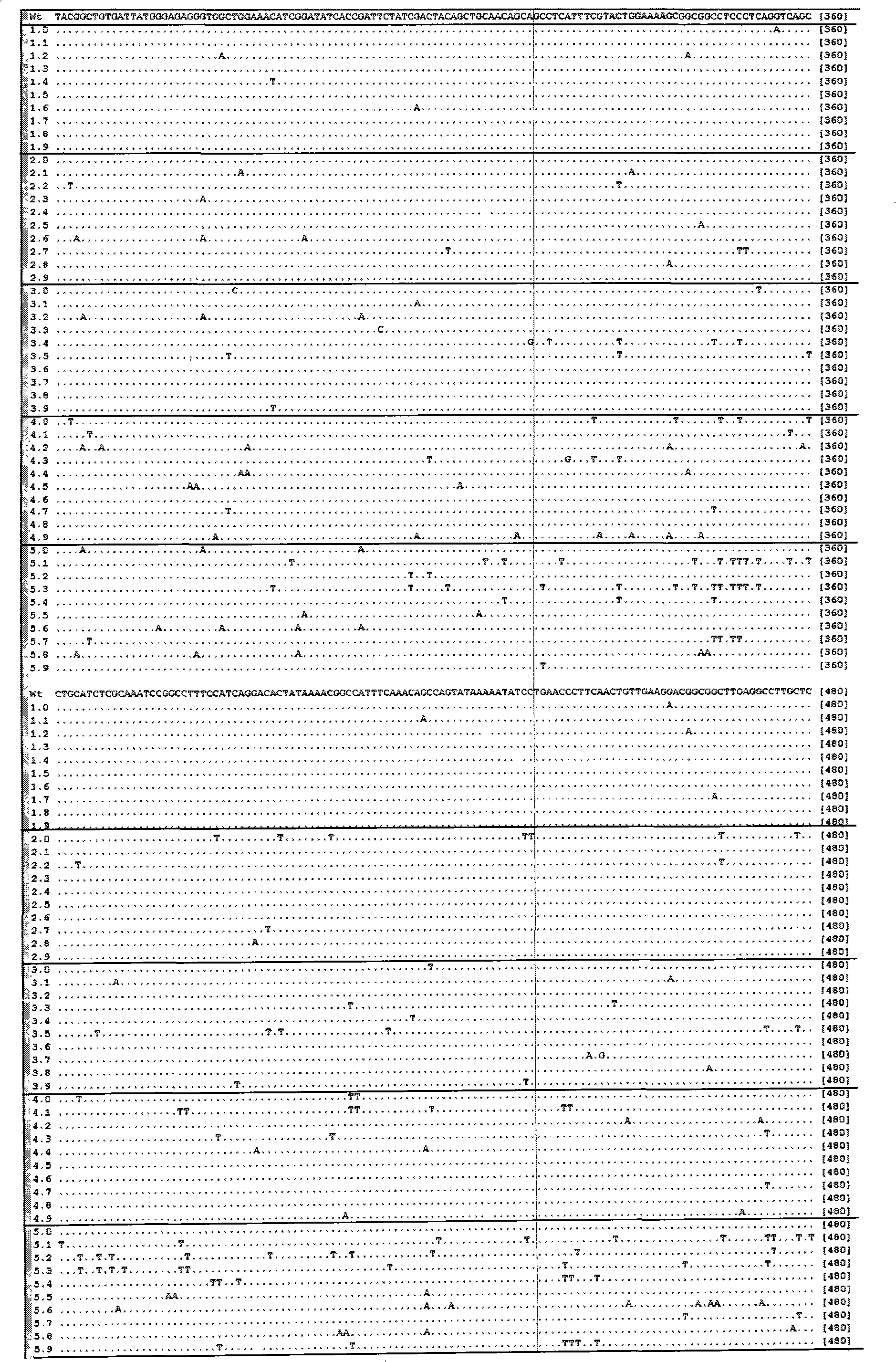 Frequency controllable GC specificity DNA mutagenesis method