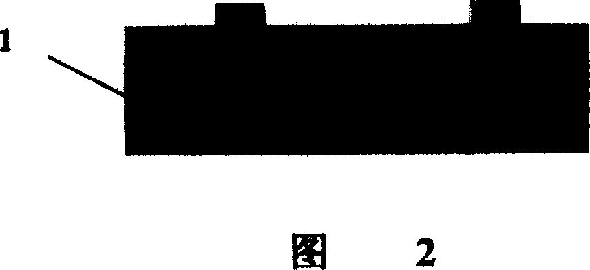 Quantitative monitoring method and structure for plasma etching