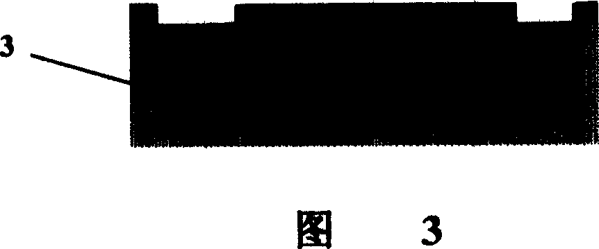 Quantitative monitoring method and structure for plasma etching