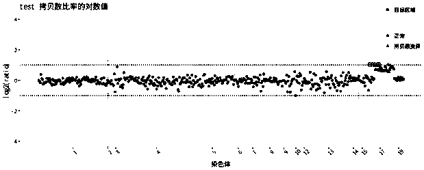 Method for genome copy number variation based on target region capturing sequencing