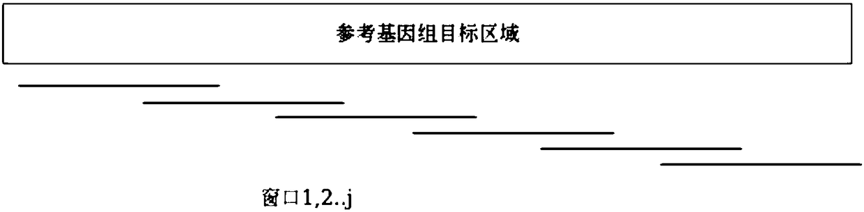 Method for genome copy number variation based on target region capturing sequencing