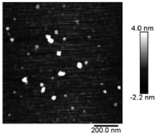 Photodetector and its preparation method