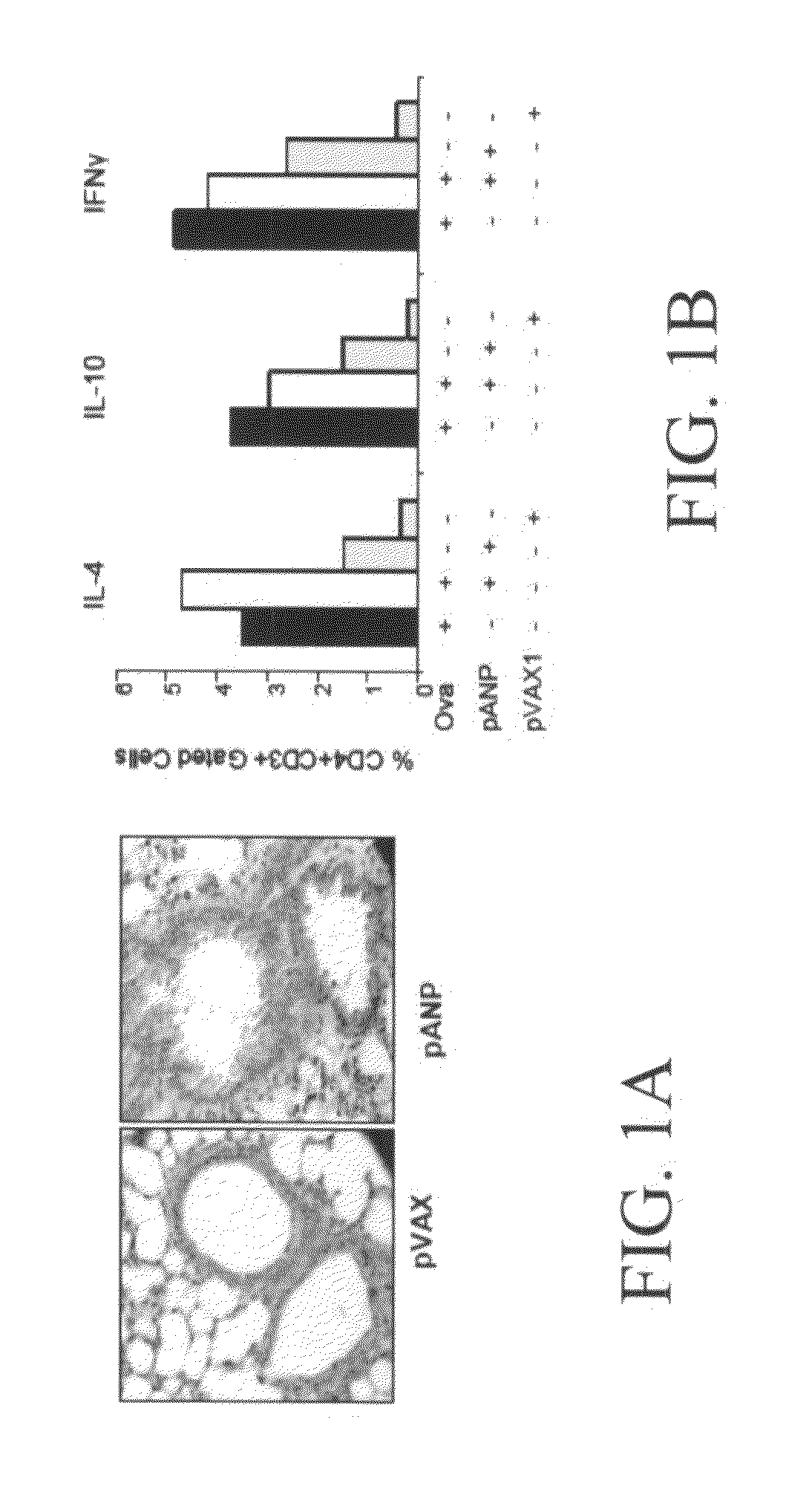 Materials and methods for reducing inflammation by inhibition of the atrial natriuretic peptide receptor