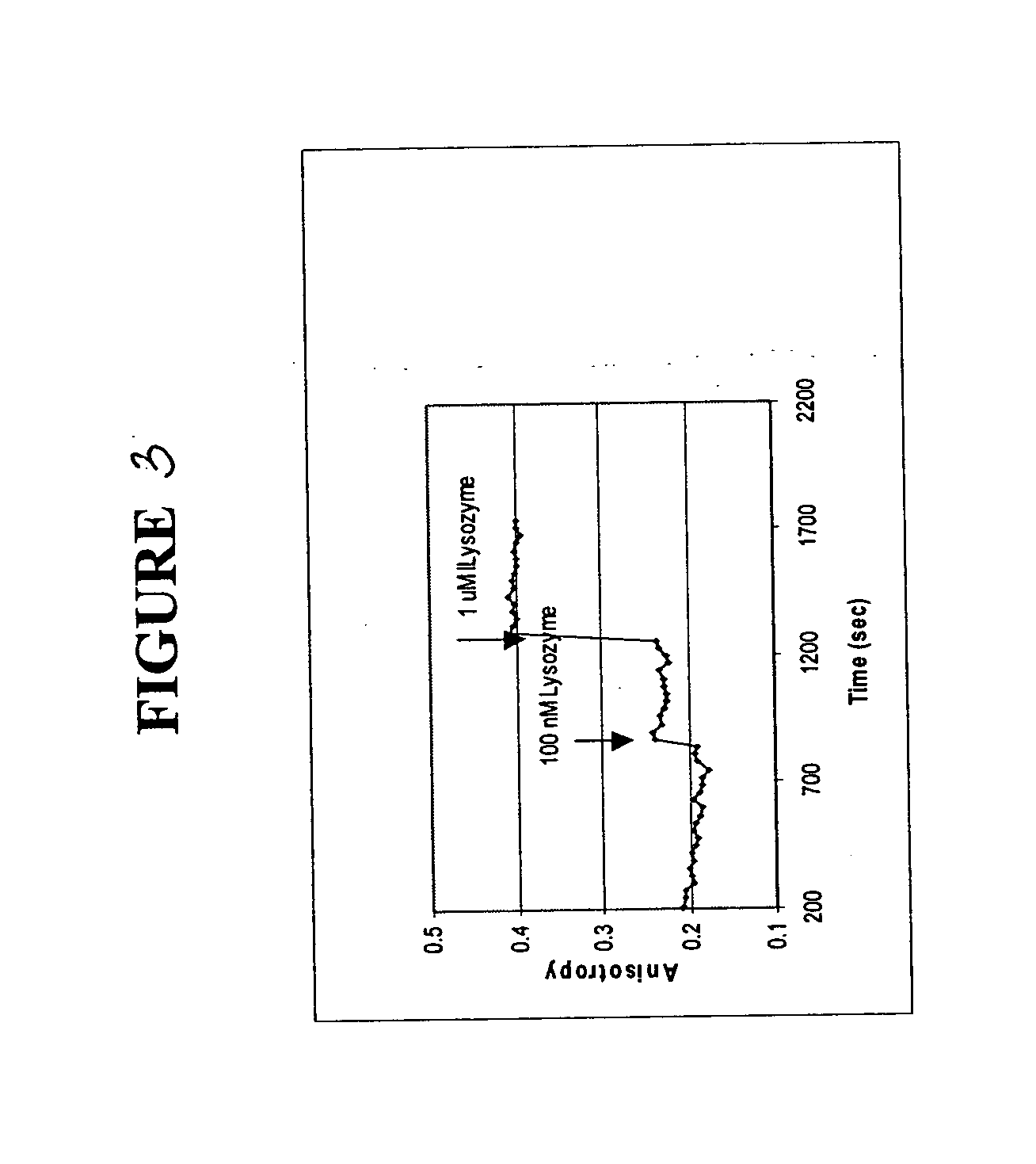 Fluorescence polarization assay