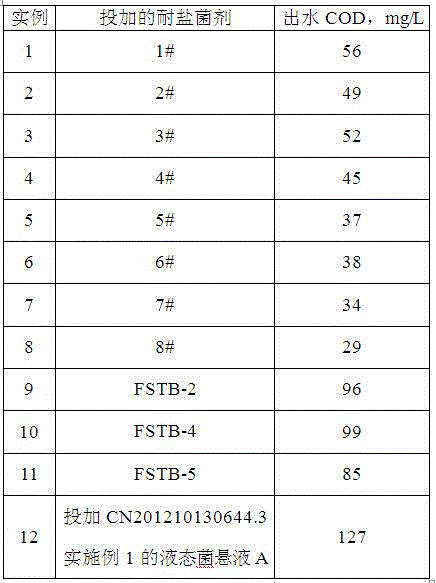 Salt-tolerant microbial agent as well as preparation method and application thereof